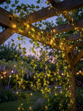 Guirlande Lumineuse Led Effet Vigne